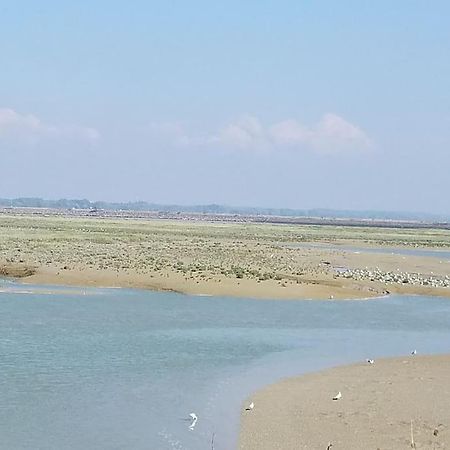Superbe Studio Au Crotoy Acces Direct Plage لو كْروتْوَ المظهر الخارجي الصورة