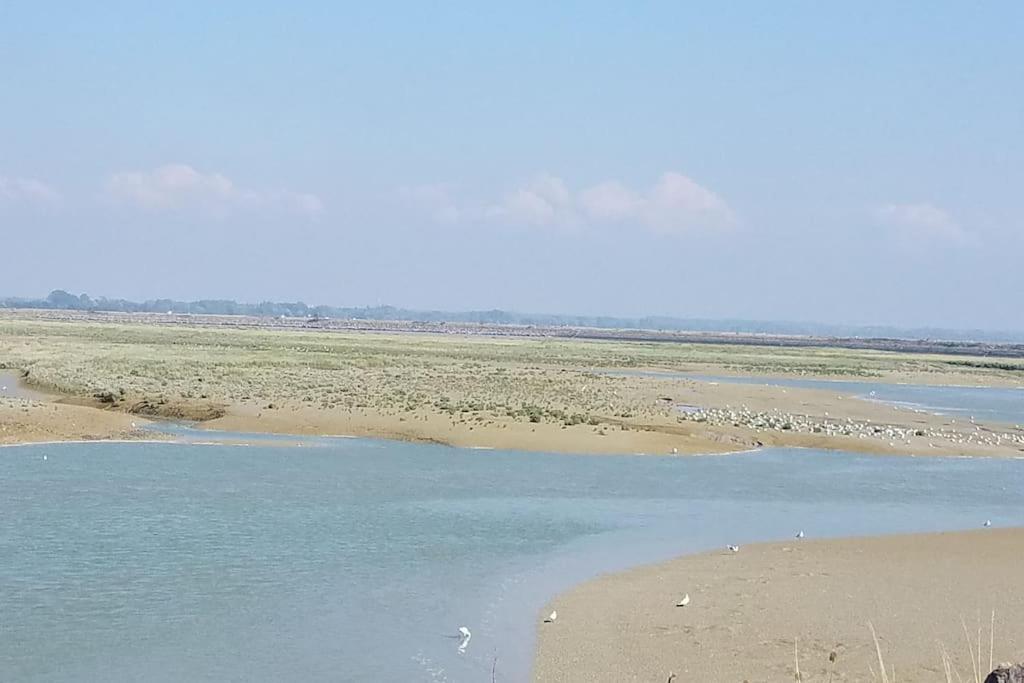 Superbe Studio Au Crotoy Acces Direct Plage لو كْروتْوَ المظهر الخارجي الصورة